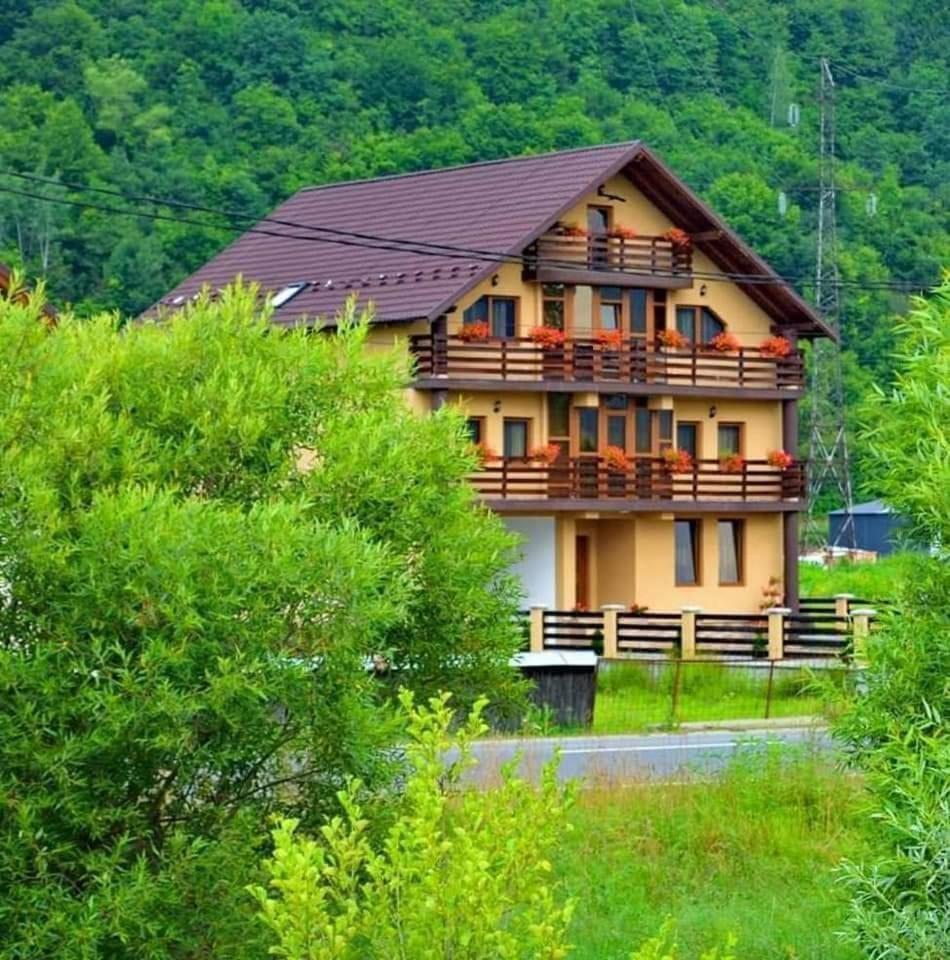 Hotel Casa Vadeanu Sighetu Marmaţiei Esterno foto