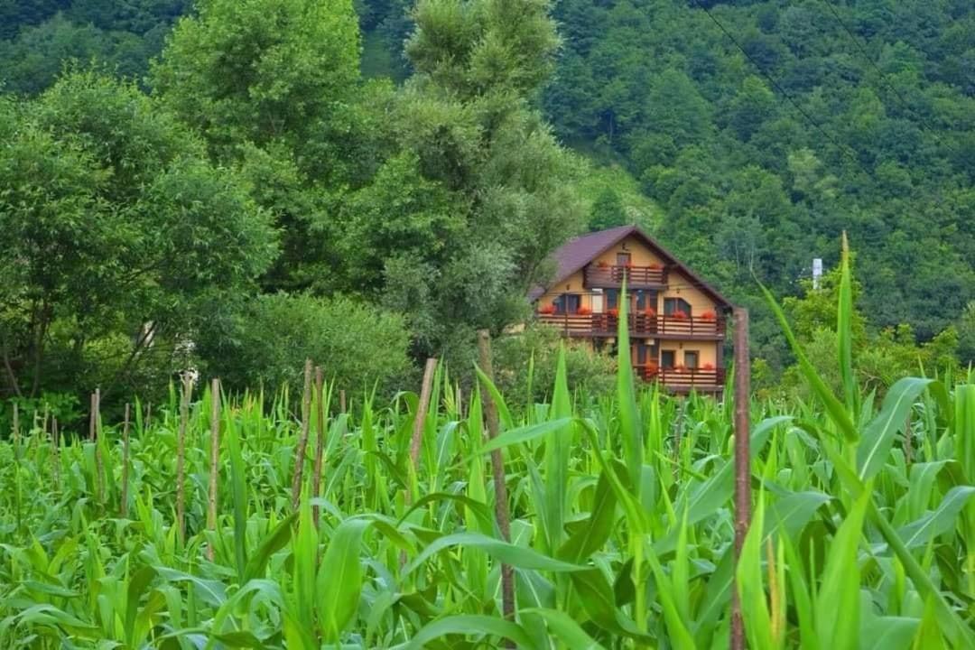 Hotel Casa Vadeanu Sighetu Marmaţiei Esterno foto